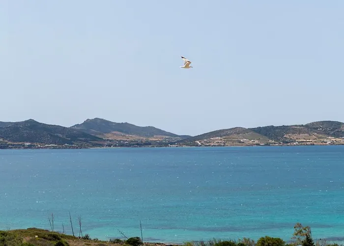 Alenia Paros Βίλα *